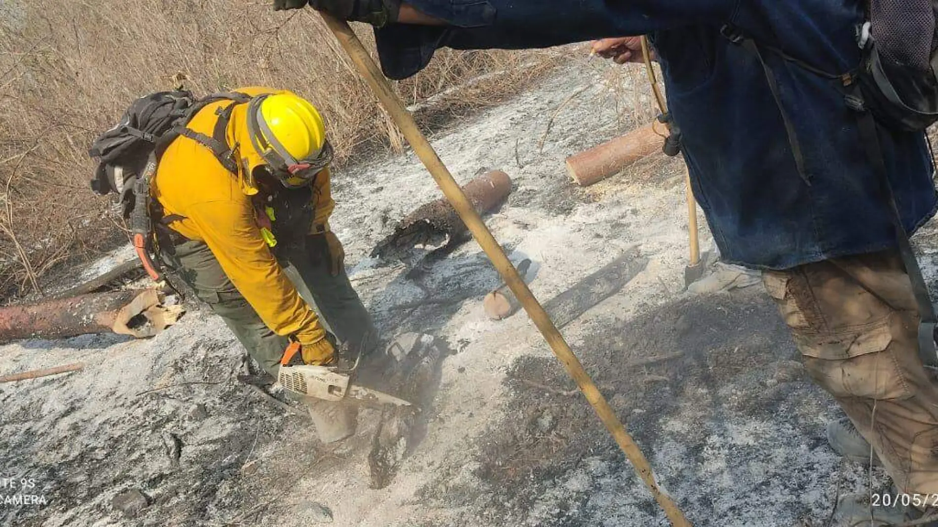 Incendios forestales en Valles y San Ciro (2)